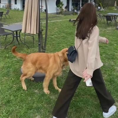 虐待狂